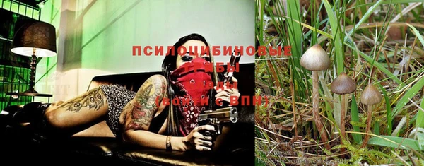 MESCALINE Верея