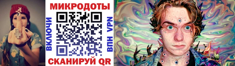 Галлюциногенные грибы мицелий где найти Кингисепп
