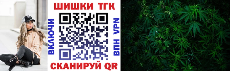 где найти наркотики  Кингисепп  Марихуана VHQ 